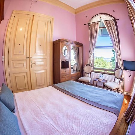 Bueyuekada Anastasia Meziki History Mansion アダラー エクステリア 写真